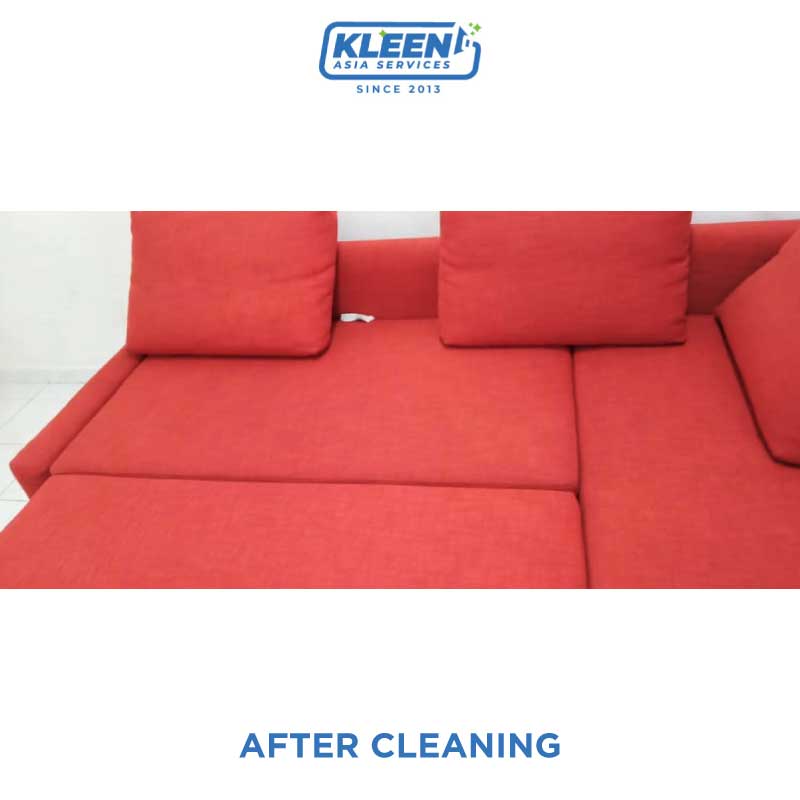sofa cleaning after