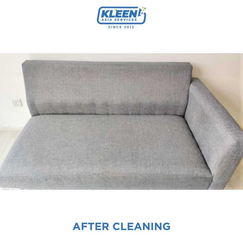 sofa cleaning after