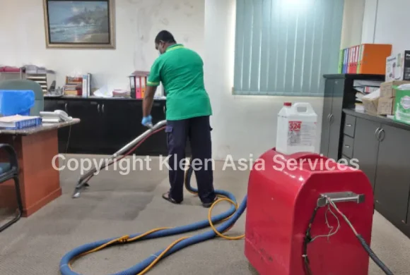 The Professional Benefits of Carpet Steam Cleaning Services