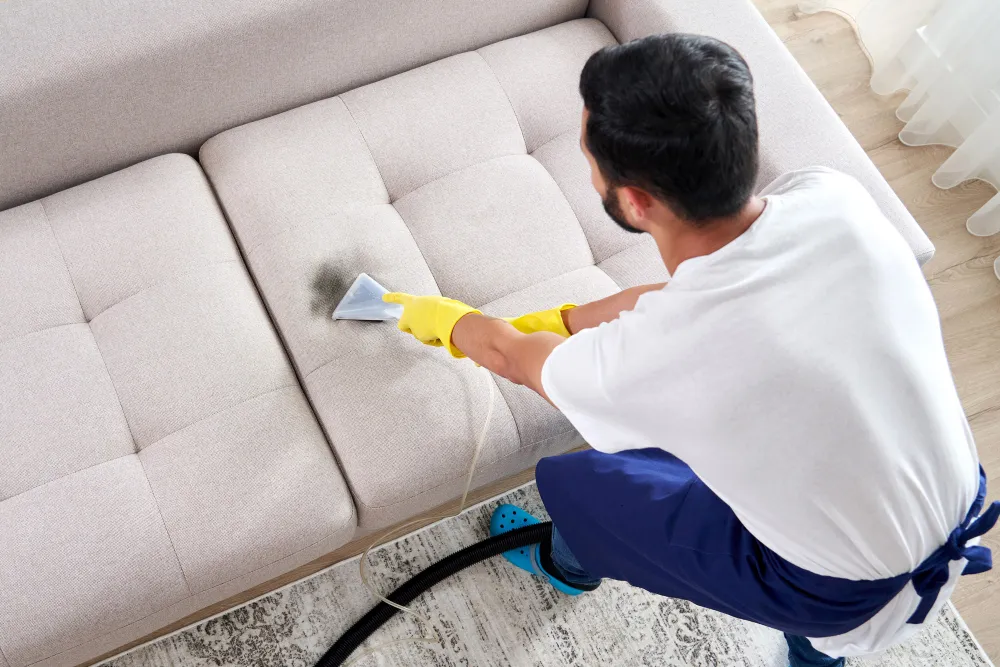 technician cleaning fabric sofa