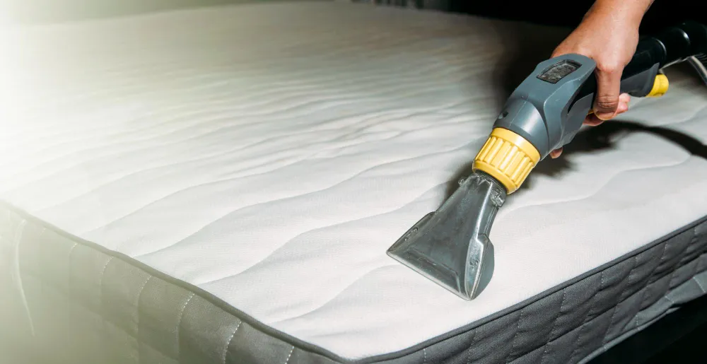 mattress cleaning service remove dust mites bed bugs