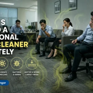 Top Signs You Need a Professional Carpet Cleaner Immediately